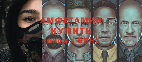 стаф Верея