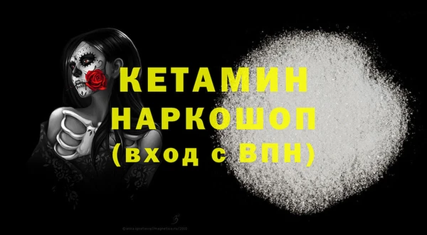 стаф Верея