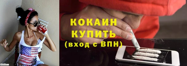 стаф Верея