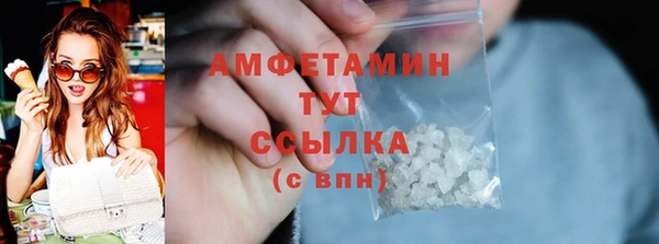 стаф Верея