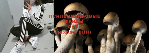 гидра Верхнеуральск
