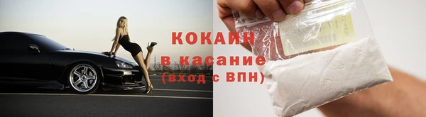 стаф Верея