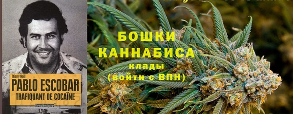 стаф Верея