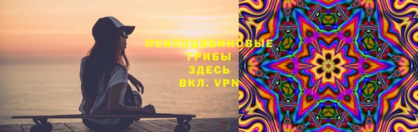 стаф Верея