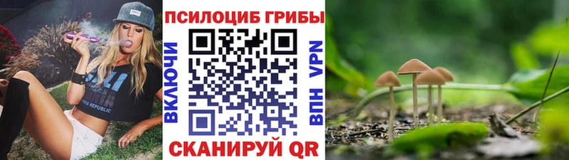 Псилоцибиновые грибы мицелий  дарнет шоп  Саранск 